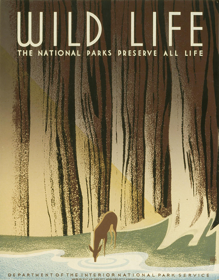 National Park Service Wild Life Vintage Poster Drawing by Eric Glaser