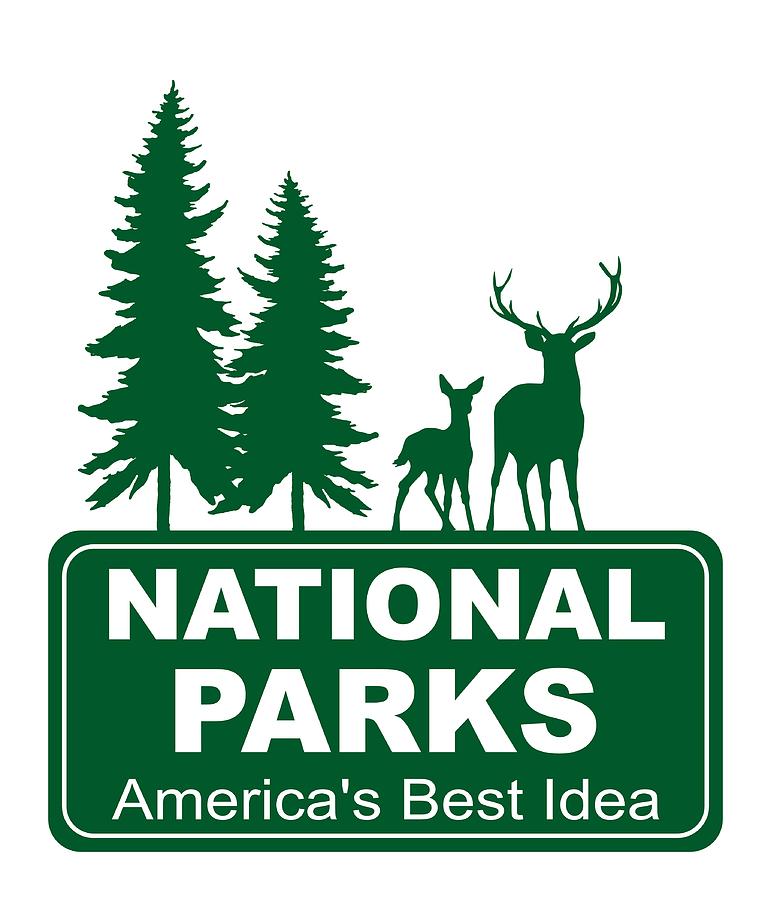 National Parks Deer by WiseWild57 National Parks Deer by WiseWild57
