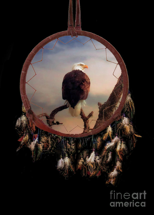 Native American Dream Catcher with Bald Eagle Photograph by Stephanie Laird
