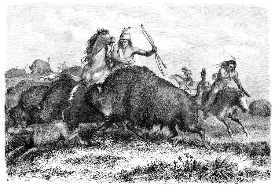 Native americans hunting buffalos with bow and arrow 1862 Drawing by Grafissimo