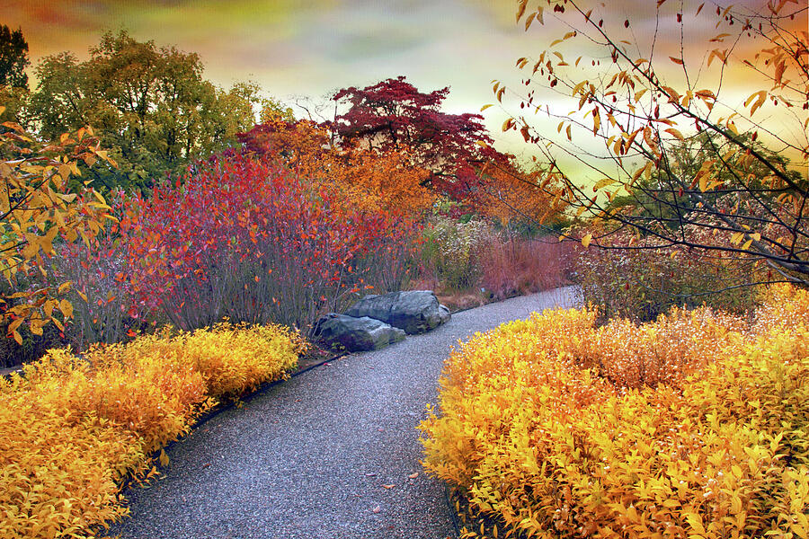 Nature Photograph - Native Garden Walkway by Jessica Jenney