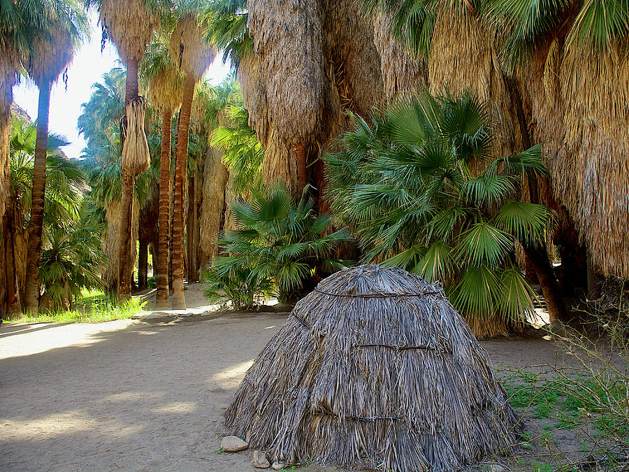 Native Hut in Lower Palm Canyon Trail in Indian Canyons near Palm Springs, California  Photograph by Ruth Hager