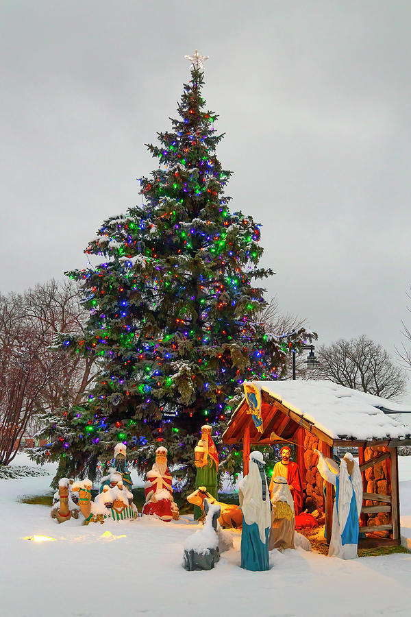outdoor christmas tree scenes