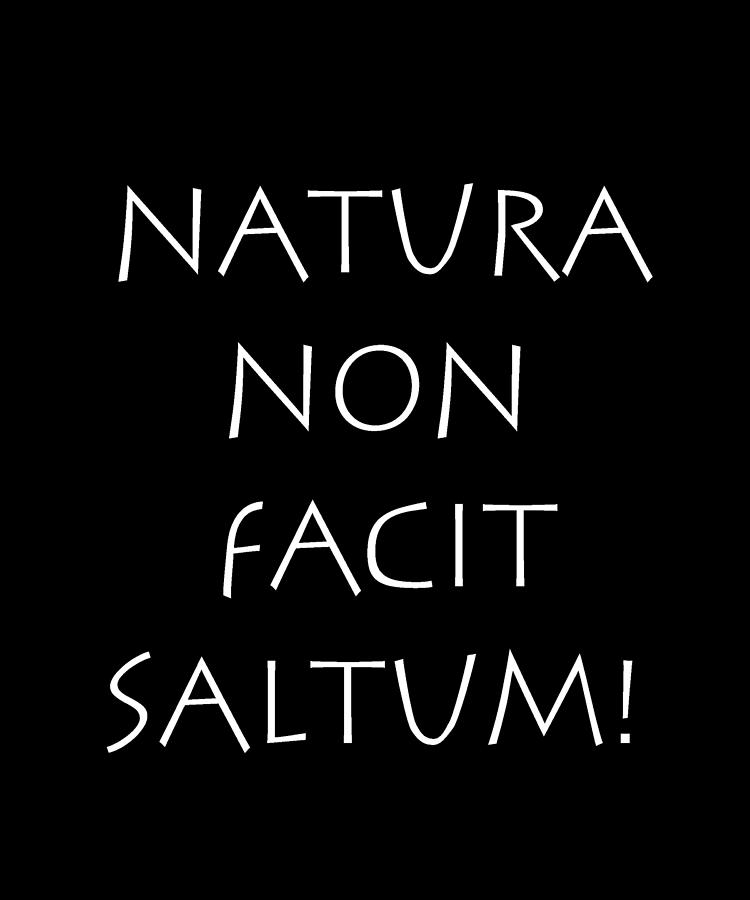 Natura non facit saltum Digital Art by Vidddie Publyshd - Pixels Merch