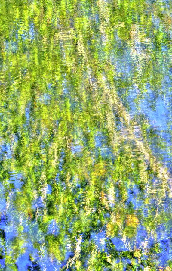 Natural Abstract - Refections of a Sycamore Tree in Licking Creek No. 2 - Franklin County PA Photograph by Michael Mazaika