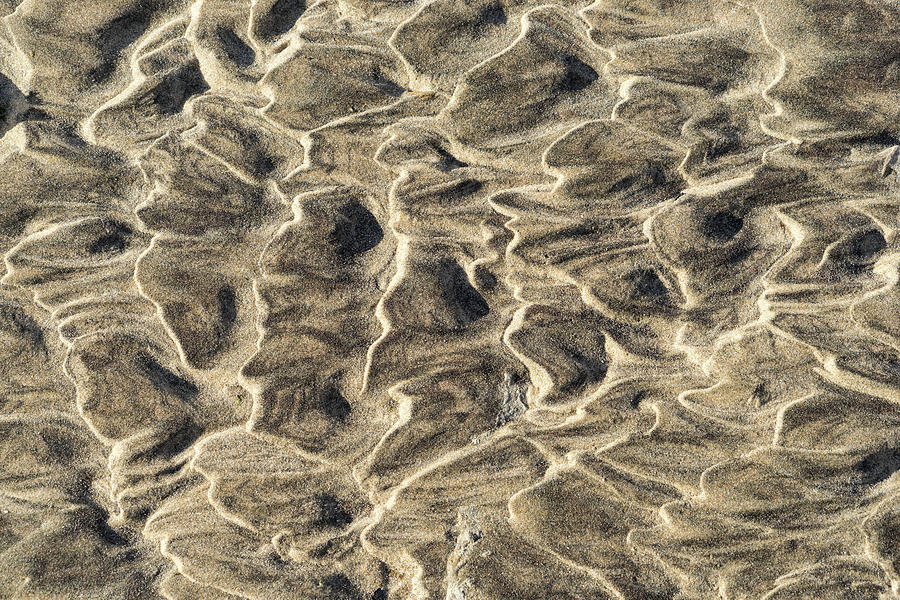 Natural Abstracts - Capricious Sand Patterns in Beige Taupe and Earthy Brown Photograph by Georgia Mizuleva
