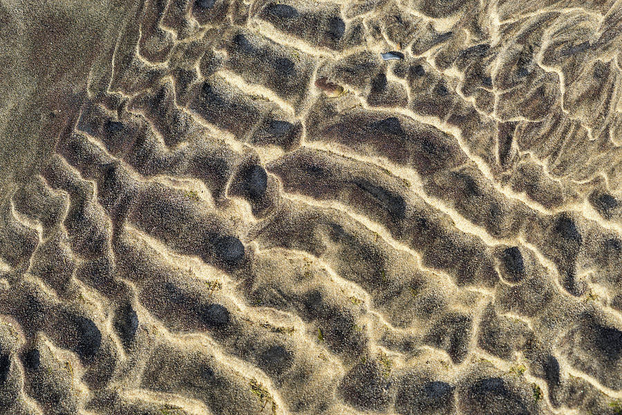 Natural Abstracts - Capricious Sand Patterns in Deep Maroon Taupe and Beige Photograph by Georgia Mizuleva