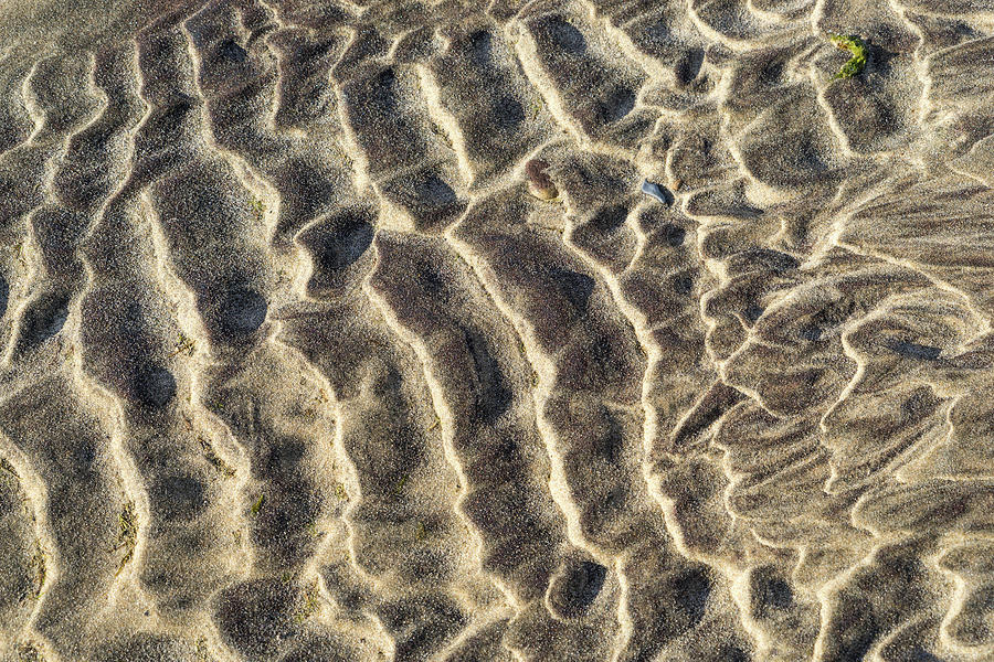 Natural Abstracts - Capricious Sand Patterns in Maroon Beige and Taupe Photograph by Georgia Mizuleva