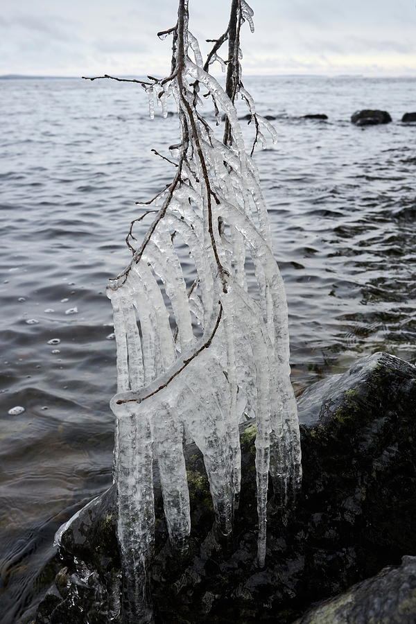 Natural Art of Ice Photograph by Jouko Lehto