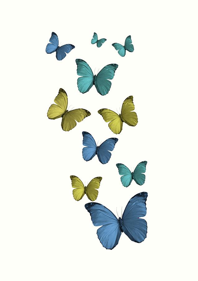 Natural background with colorful butterflies flying Photograph by Olga ...