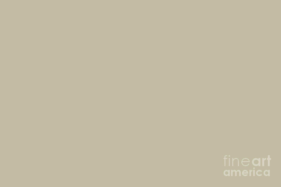 Natural Beige Tan Taupe Solid Color Pairs To Sherwin Williams Relaxed Khaki SW 6149 Digital Art by PIPA Fine Art - Simply Solid