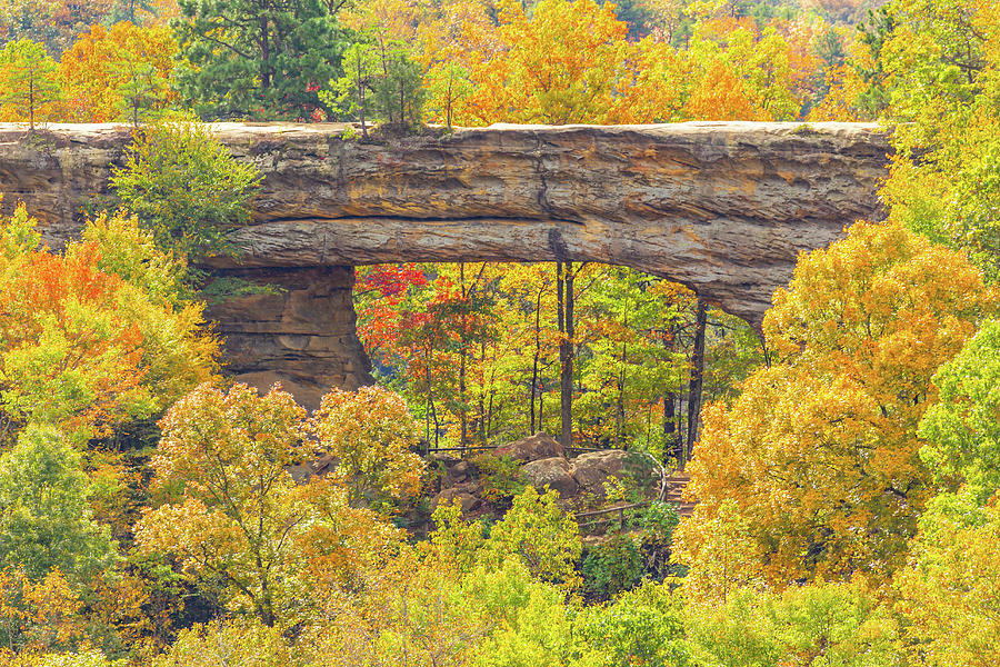 Natural Bridge and Fall Colors Photograph by Marc Crumpler
