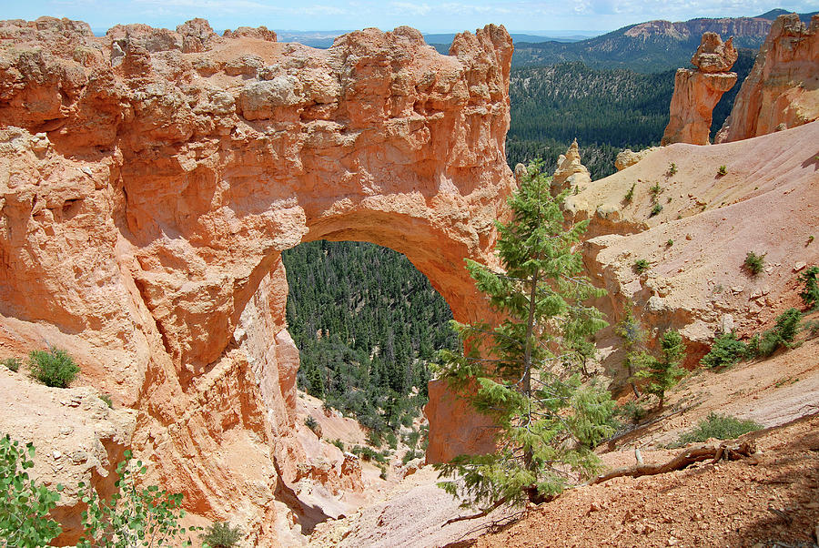 Natural Bridge arch, Bryce Canyon Photograph by Mihaela Nica - Pixels