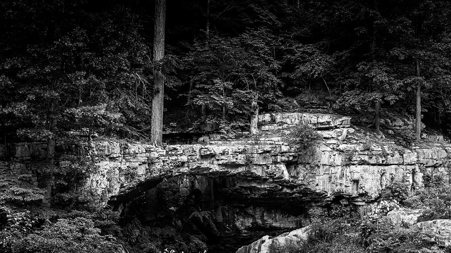 Natural Bridge Black and White  Photograph by Debra Forand