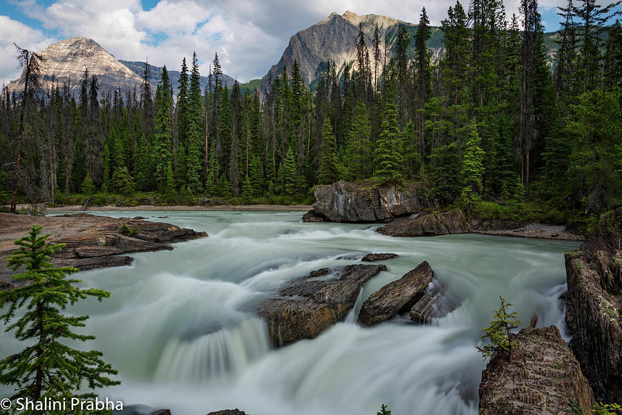 Natural Bridge Falls Banff Photograph by Shalini Prabha - Fine Art America