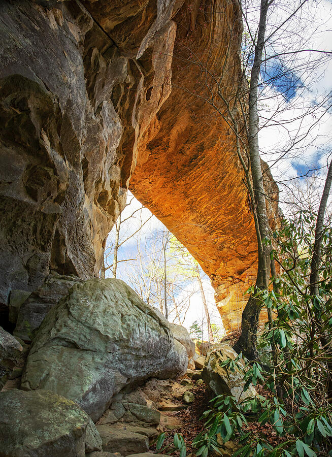 Natural Bridge Kentucky Photograph by Dan Sproul Natural Bridge Kentucky Photograph by Dan Sproul