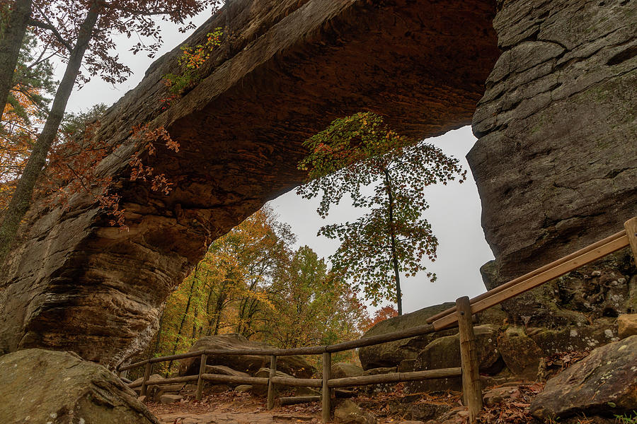 Natural Bridge, Kentucky Photograph by Jim Allsopp - Fine Art America