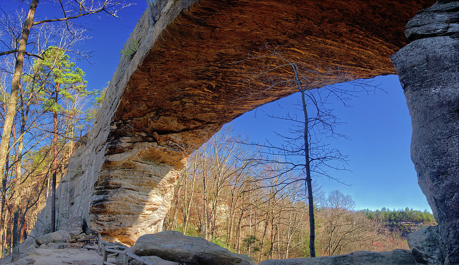 Natural Bridge Kentucky - natural bridge arch on a springtime morning Photograph by Peter Herman