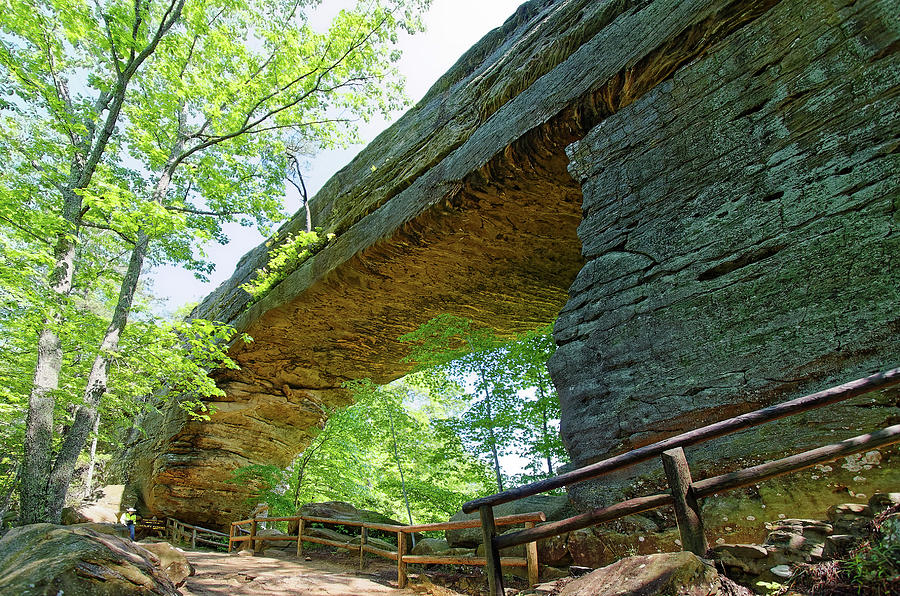 Natural Bridge Kentucky Photograph by Sally Weigand - Pixels