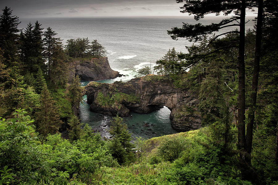 Natural Bridges Oregon Coast Photograph by Cliff Wassmann