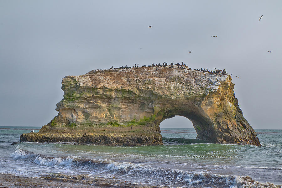 Natural Bridges Photograph by Tom Kelly