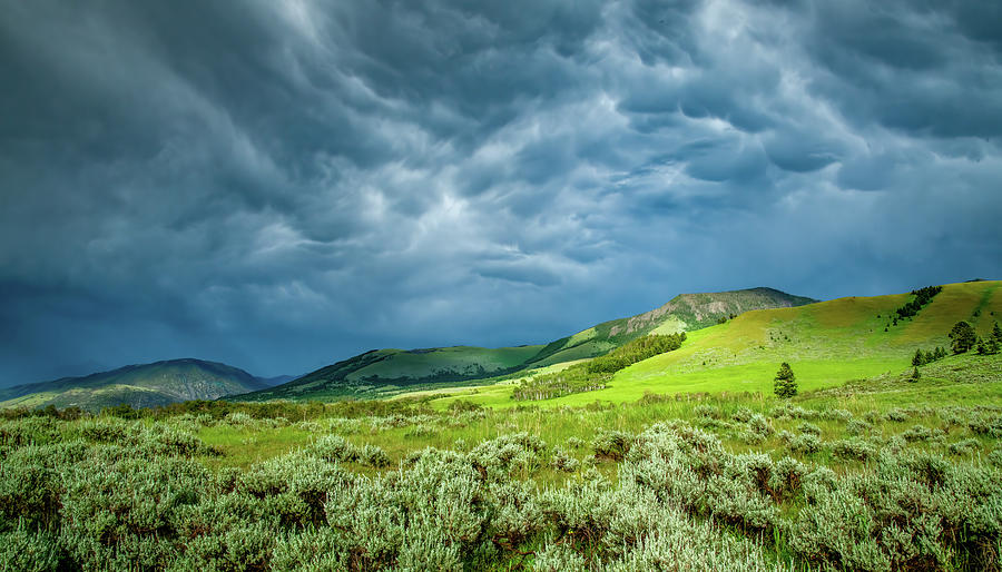 Natures Drama in Big Sky Country Photograph by Marcy Wielfaert