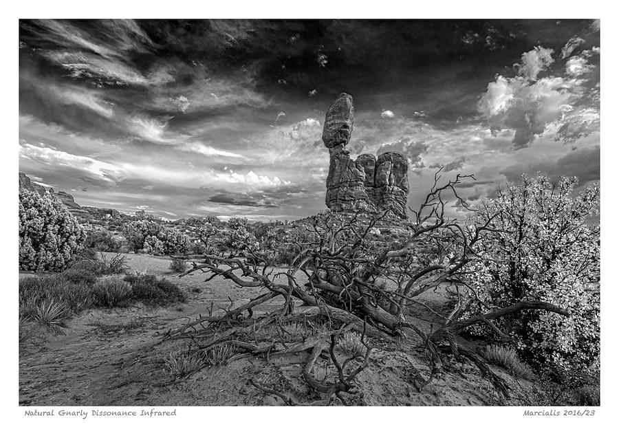 Natural Gnarly Dissonance Infrared The Signature Series Photograph by Angelo Marcialis