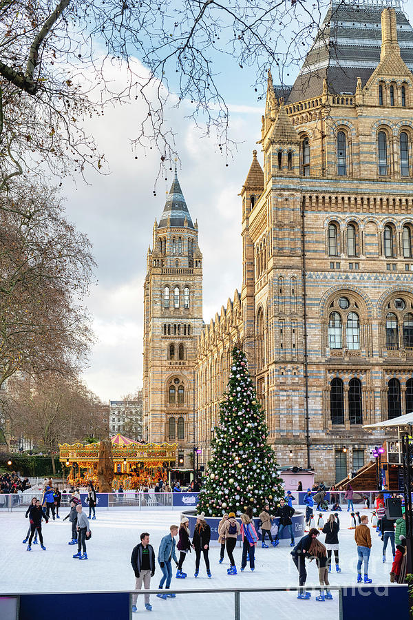 Natural History Museum Christmas in London Photograph by Tim Gainey