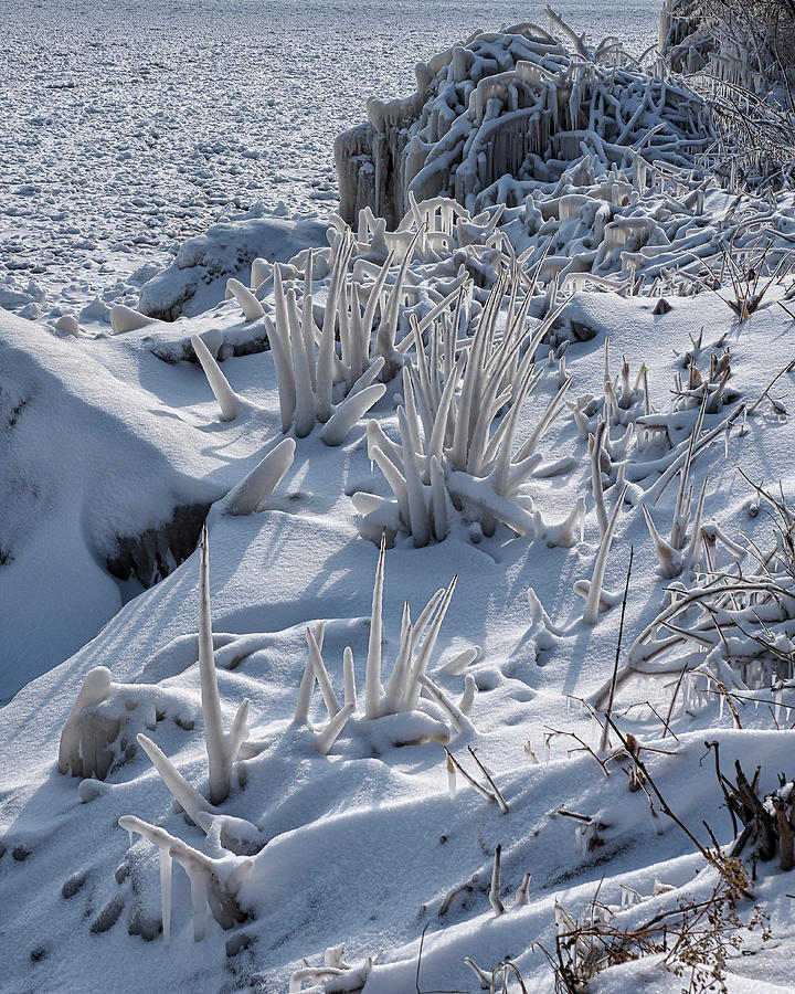 Natural Ice Sculptures Photograph by Scott Olsen