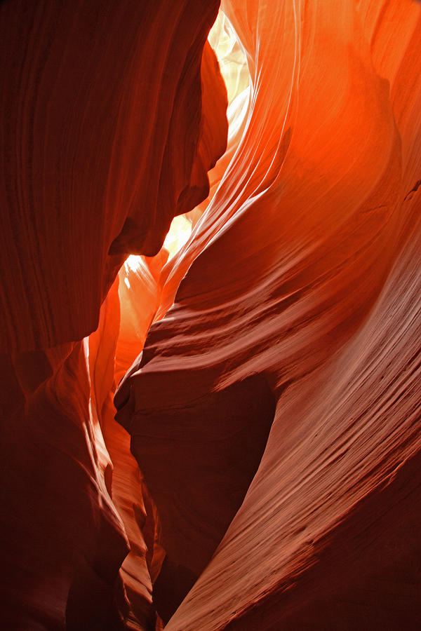 Natural light and red rock Photograph by Rosemary Calvert