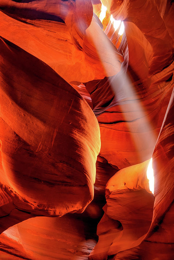 Natural Light And Sandstone Ceiling Of Antelope Canyon Photograph