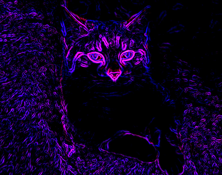 Natural Lying Cat. Purple Neon Effect. Abstract. Black Background ...