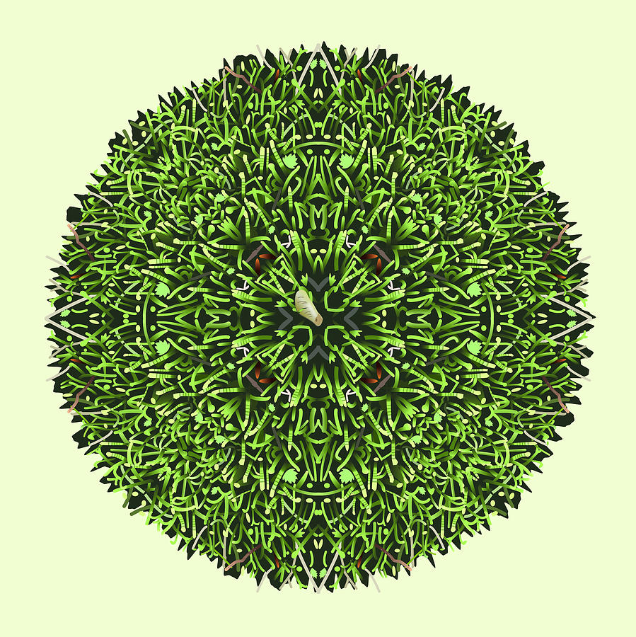 Natural Mandala Digital Art by Marian Federspiel