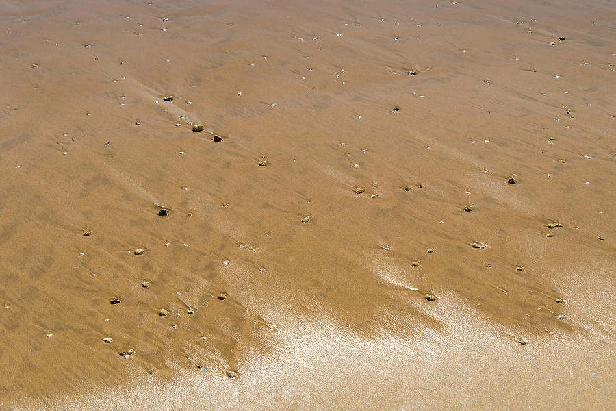 Natural Ombre - Earthy Beachside Abstract with Nuanced Gradient Photograph by Georgia Mizuleva