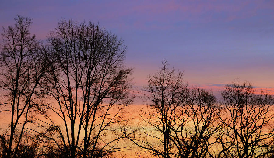 Sunset Photograph - Natural Palette by Jamart Photography