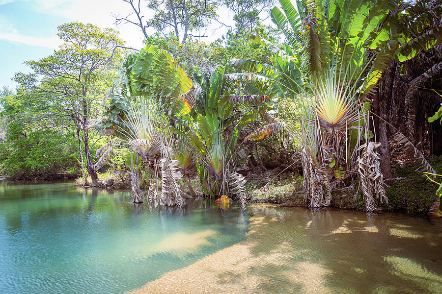 Natural Pool in Madagascar Photograph by Louloua Asgaraly - Fine Art ...