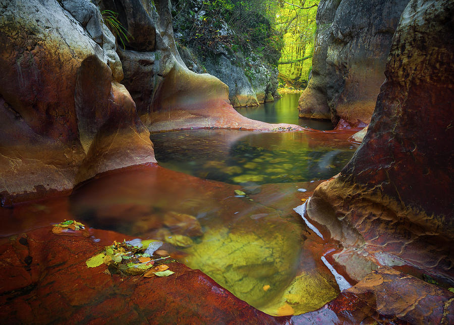 Natural pools Photograph by Cosmin Stan