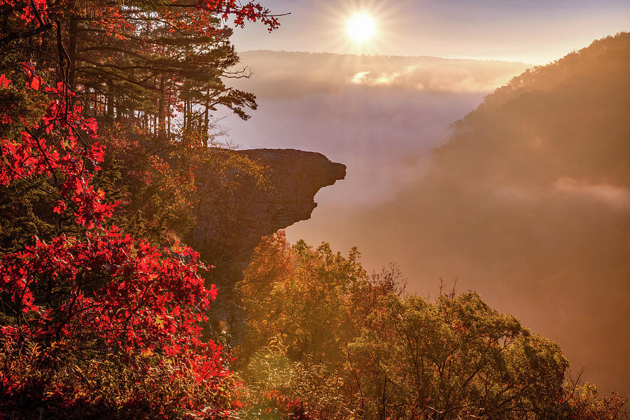 Natural State Morning Glory At Hawksbill Crag Photograph by Gregory Ballos