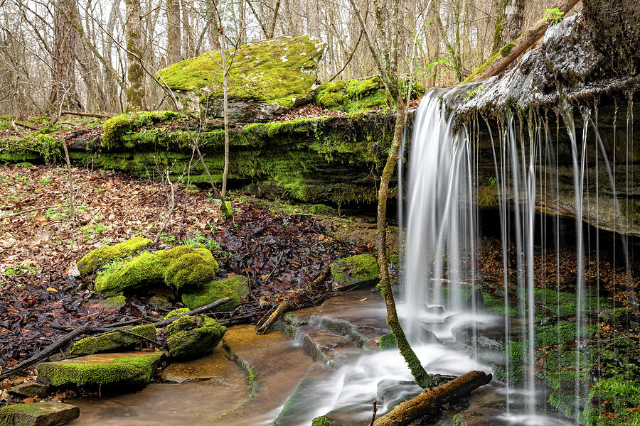 Spring Photograph - Natural State Spring Arkansas Waterfall Landscape by Gregory Ballos