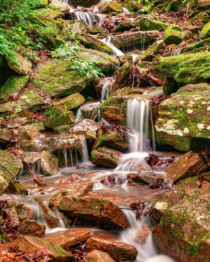 Tree Photograph - Natural State Waterfalls In Devils Den State Park by Gregory Ballos