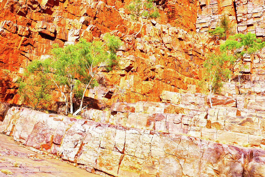 Natural Steps - Ormiston Gorge Photograph by Lexa Harpell