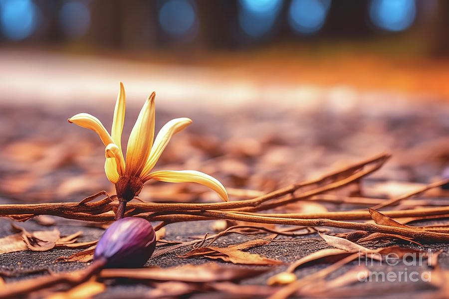 Natural vanilla flower, in the soil of a crop. Photograph by Joaquin Corbalan