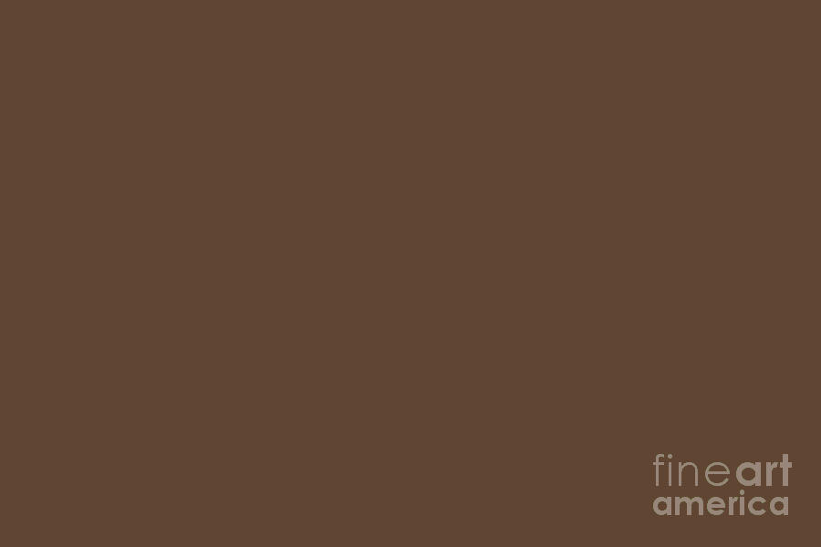 Naturally Neutral Dark Brown Solid Color Sherwin Williams 2021 Trending Color Java SW 6090 Digital Art by PIPA Fine Art - Simply Solid
