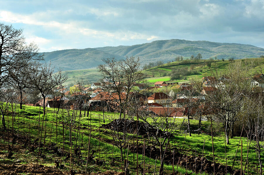 Nature Photograph by Adrian Limani Nature Photograph by Adrian Limani