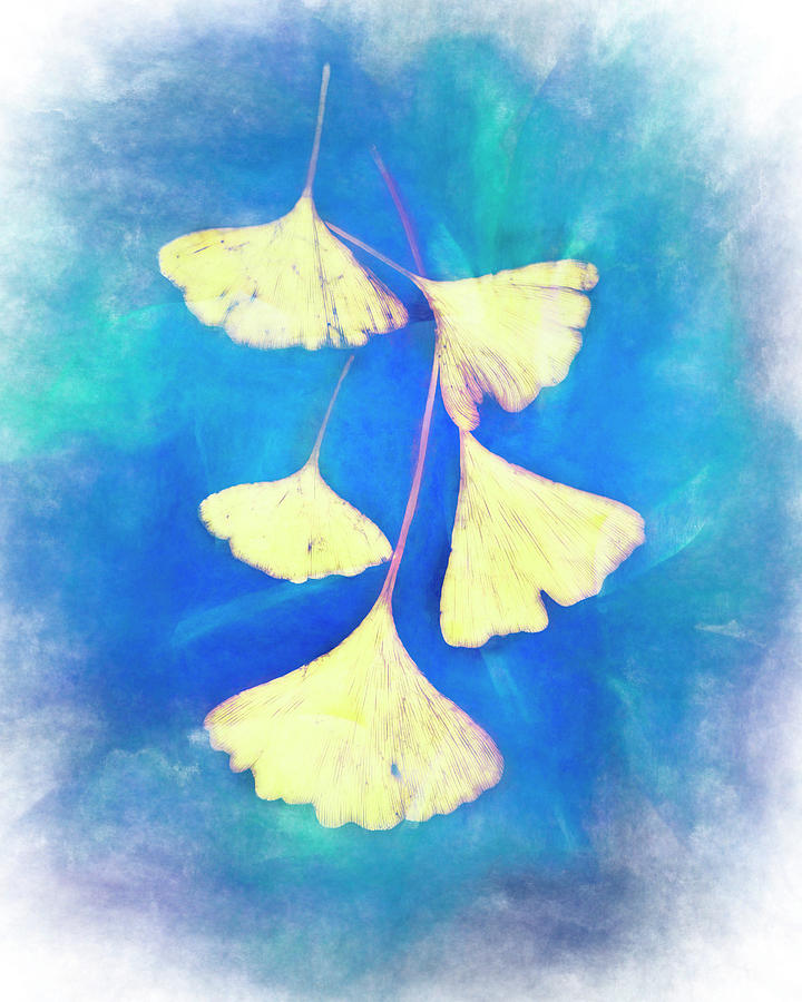 Nature Art Ginkgo Leaves Yellow And Blue Mixed Media