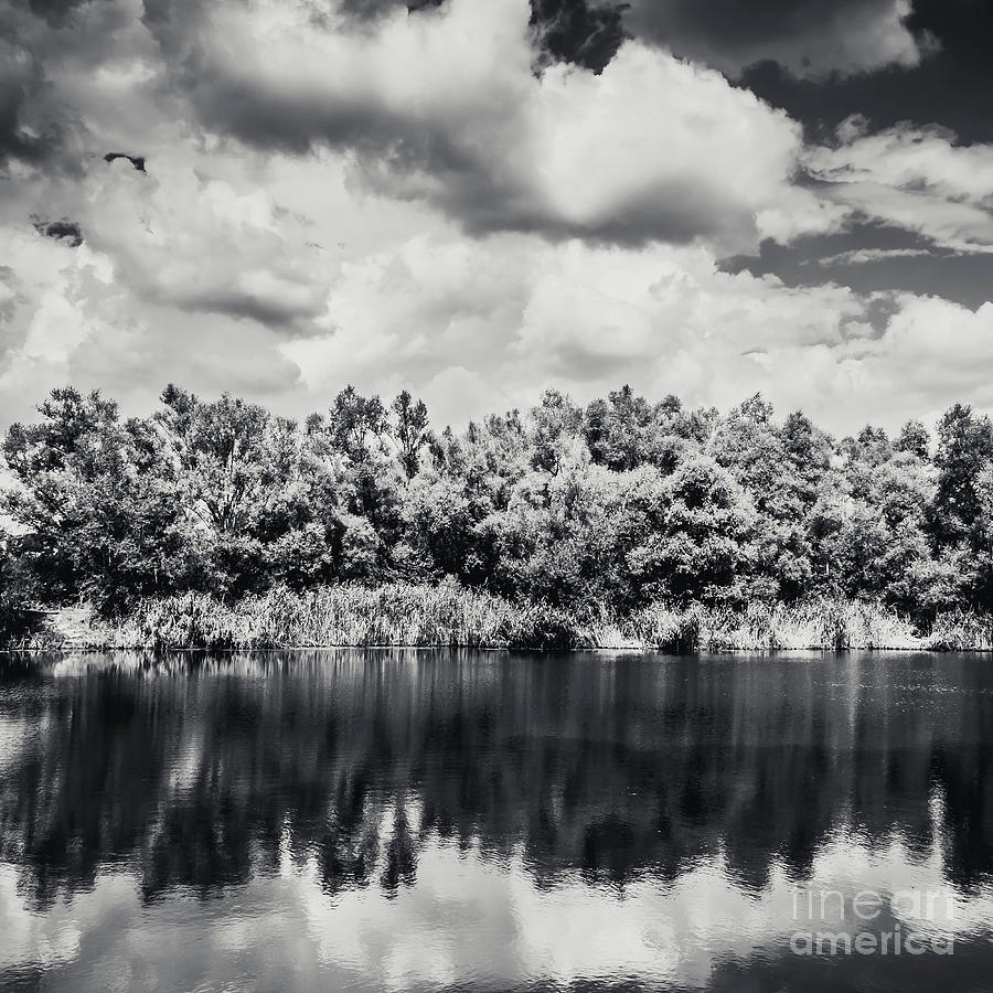 Nature black and white photography Photograph by Justyna Jaszke JBJart