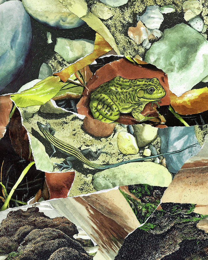 Nature Collage 2 Mixed Media by John Vincent Palozzi