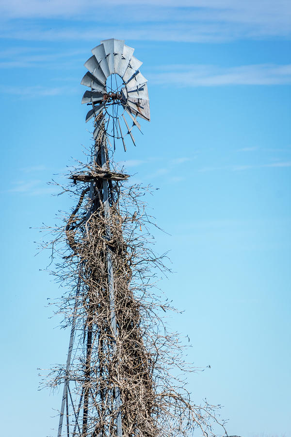 Nature Decorated Windmill Photograph by Debra Martz