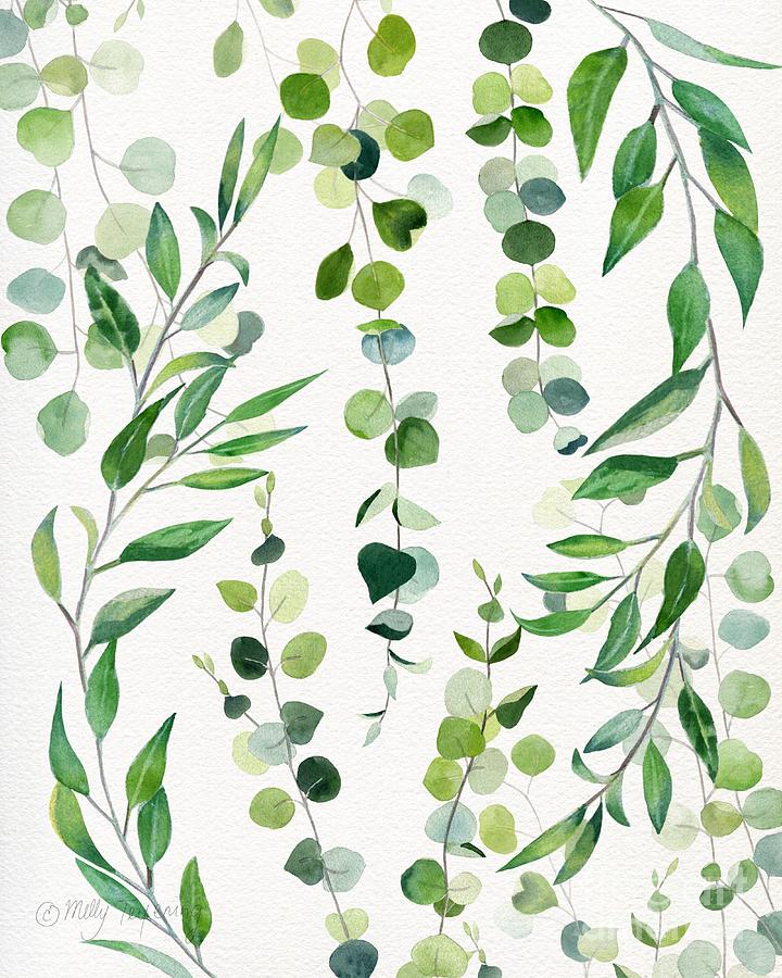 Nature Painting - Nature Green Eucalyptus Leaves  by Melly Terpening