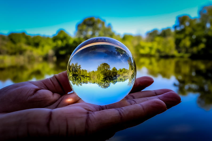 Nature in Hand Photograph by Nakeya Walker - Fine Art America